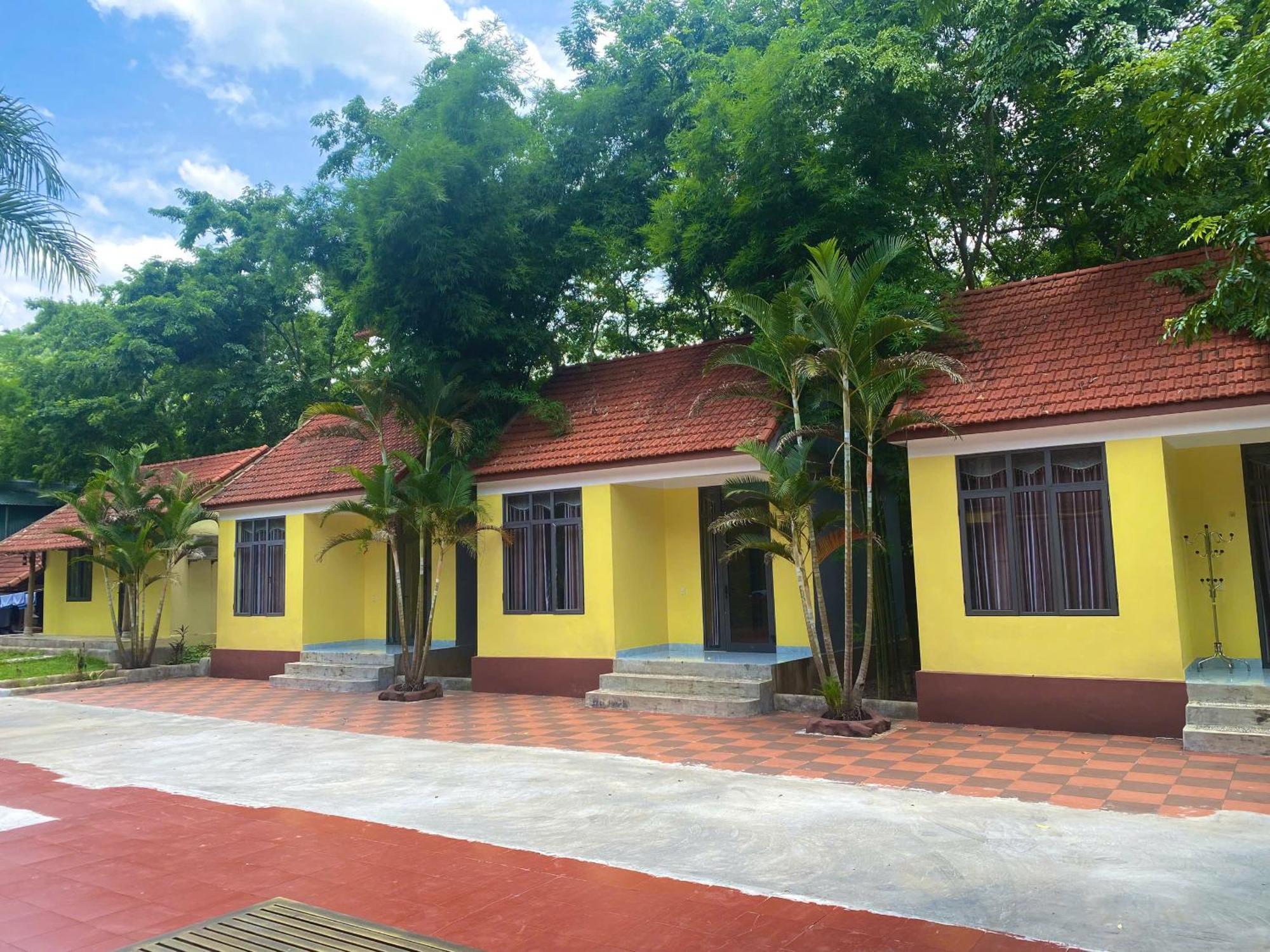 Ho Khanh'S Homestay Phong Nha Exteriör bild
