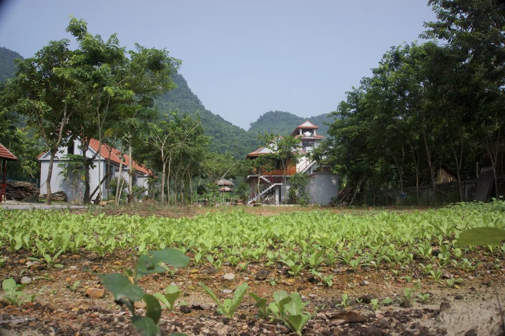 Ho Khanh'S Homestay Phong Nha Exteriör bild