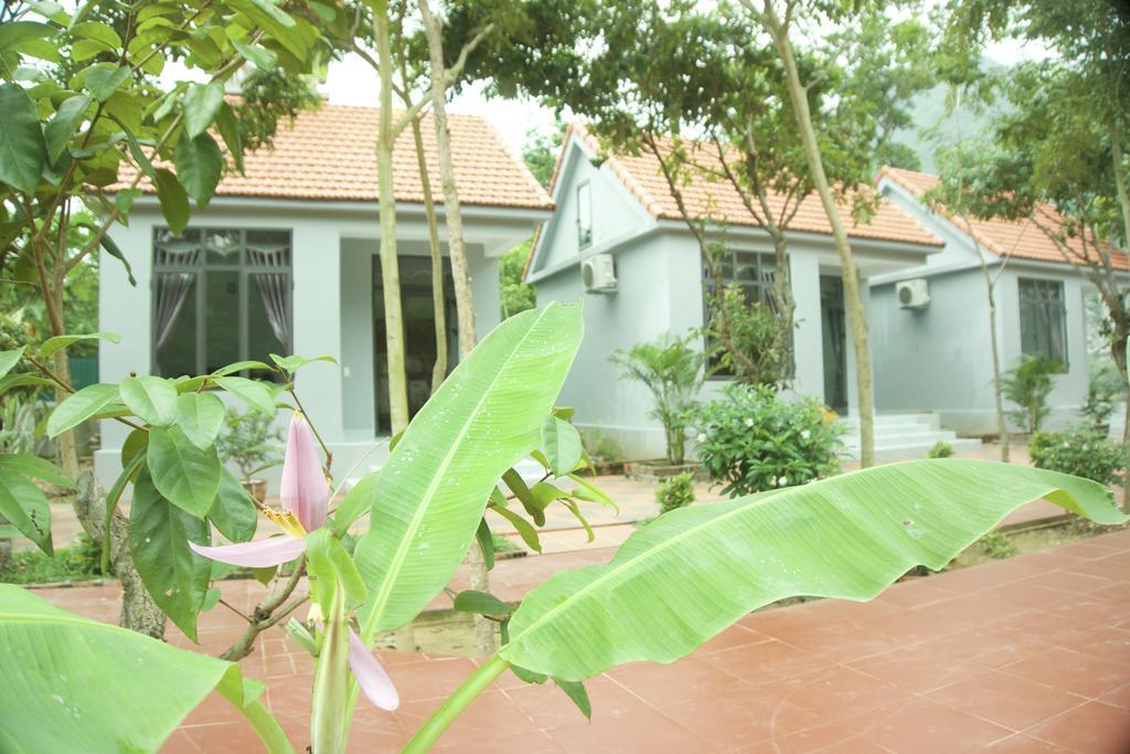 Ho Khanh'S Homestay Phong Nha Exteriör bild