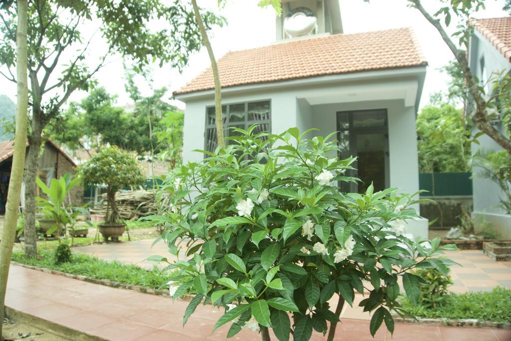 Ho Khanh'S Homestay Phong Nha Exteriör bild