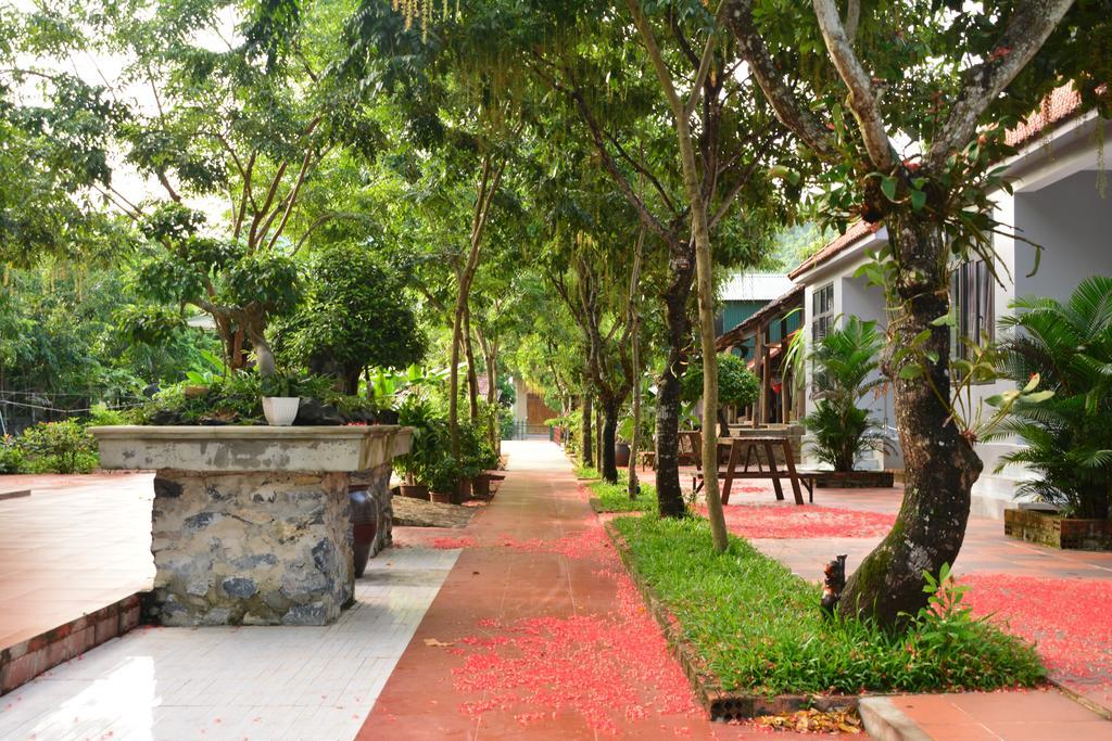 Ho Khanh'S Homestay Phong Nha Exteriör bild