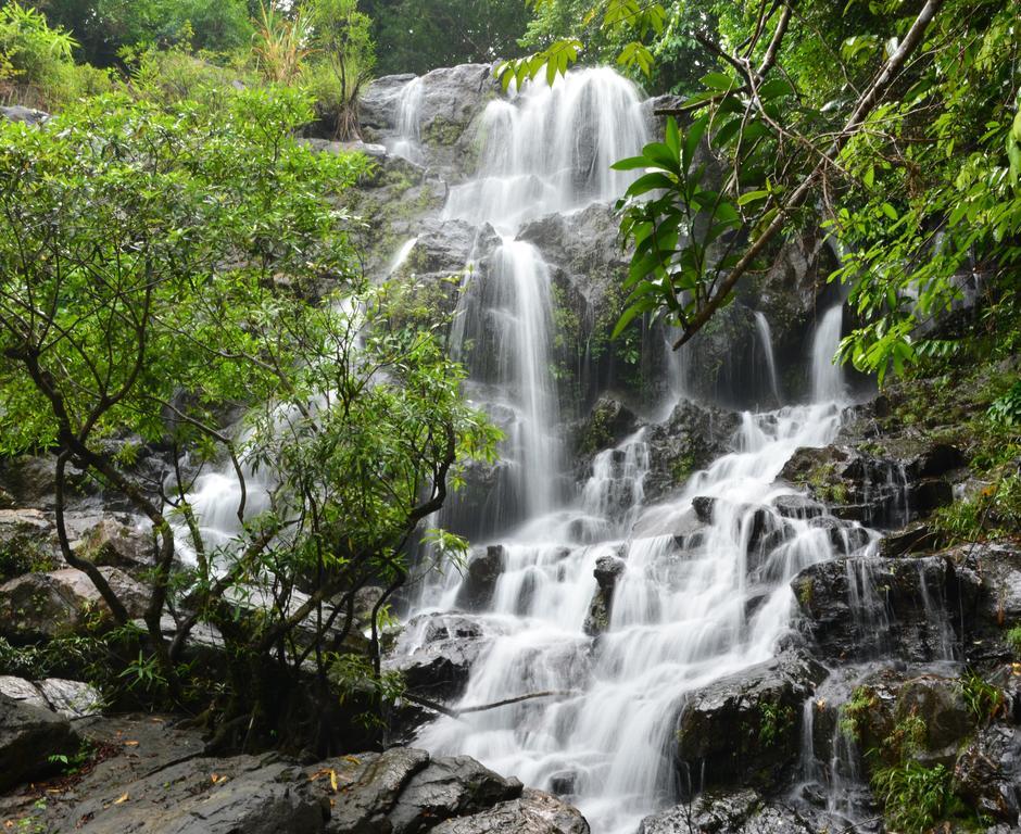 Ho Khanh'S Homestay Phong Nha Exteriör bild